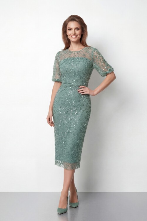 Tamamı İşlemeli Işıltılı Yarım Kol Midi Elbise - 2029